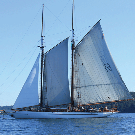 San Juan Sailing and Yachting