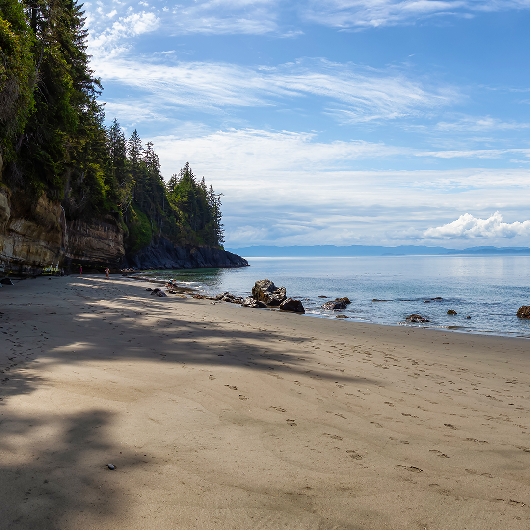 Calm ocean waters along a sandy beach with trees and bright blue sky