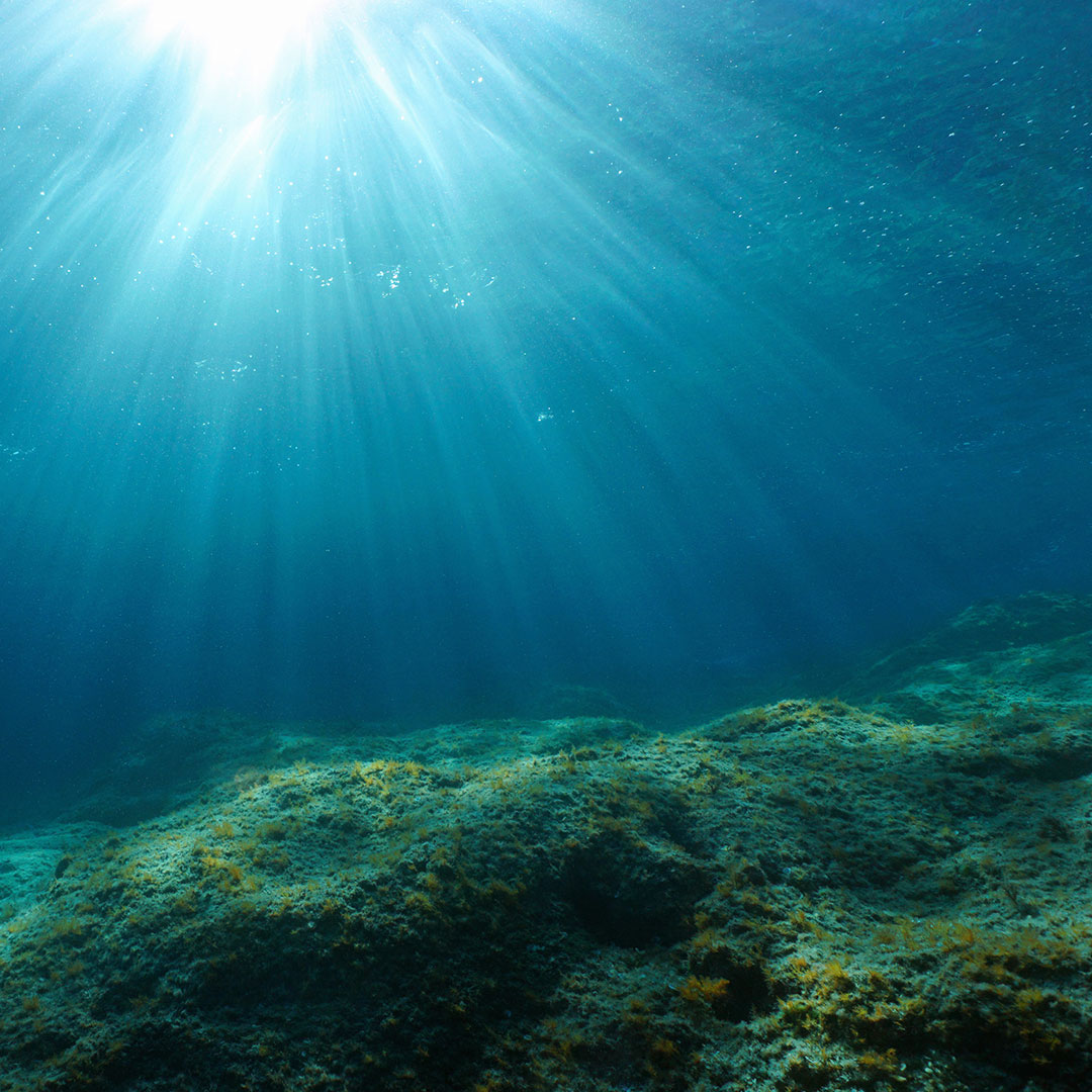 Seabed floor with light rays filtering through water