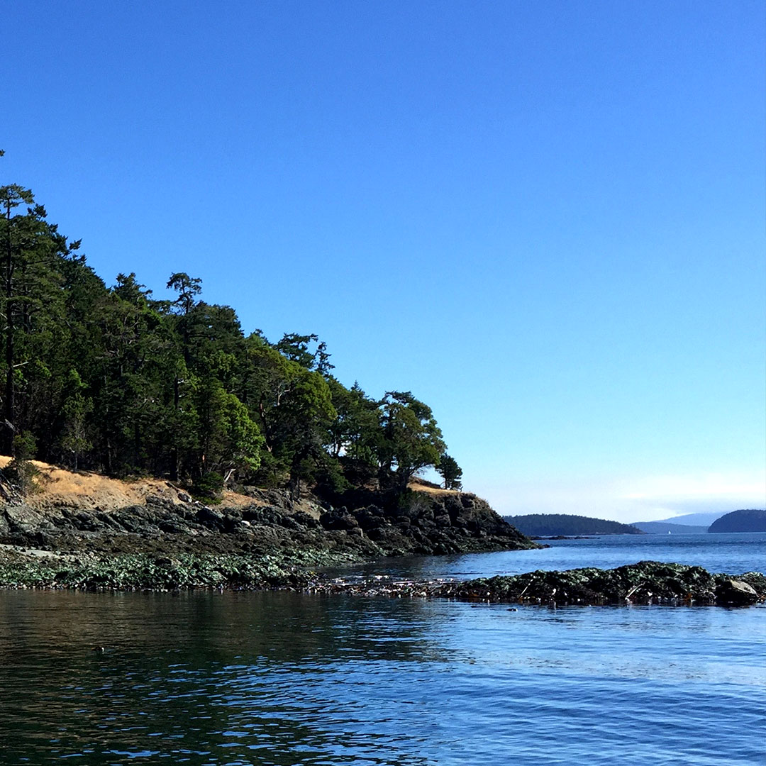 Wooded cove with calm waters on Turn Island in the San Juan Islands