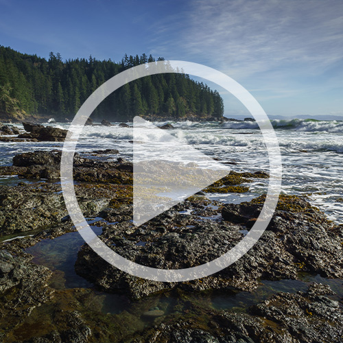 The coastal waters of the Salish Sea on a beautiful day with a large video play button over it