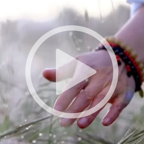 A hand touching the top of tall grass on a foggy day with a video play button over it