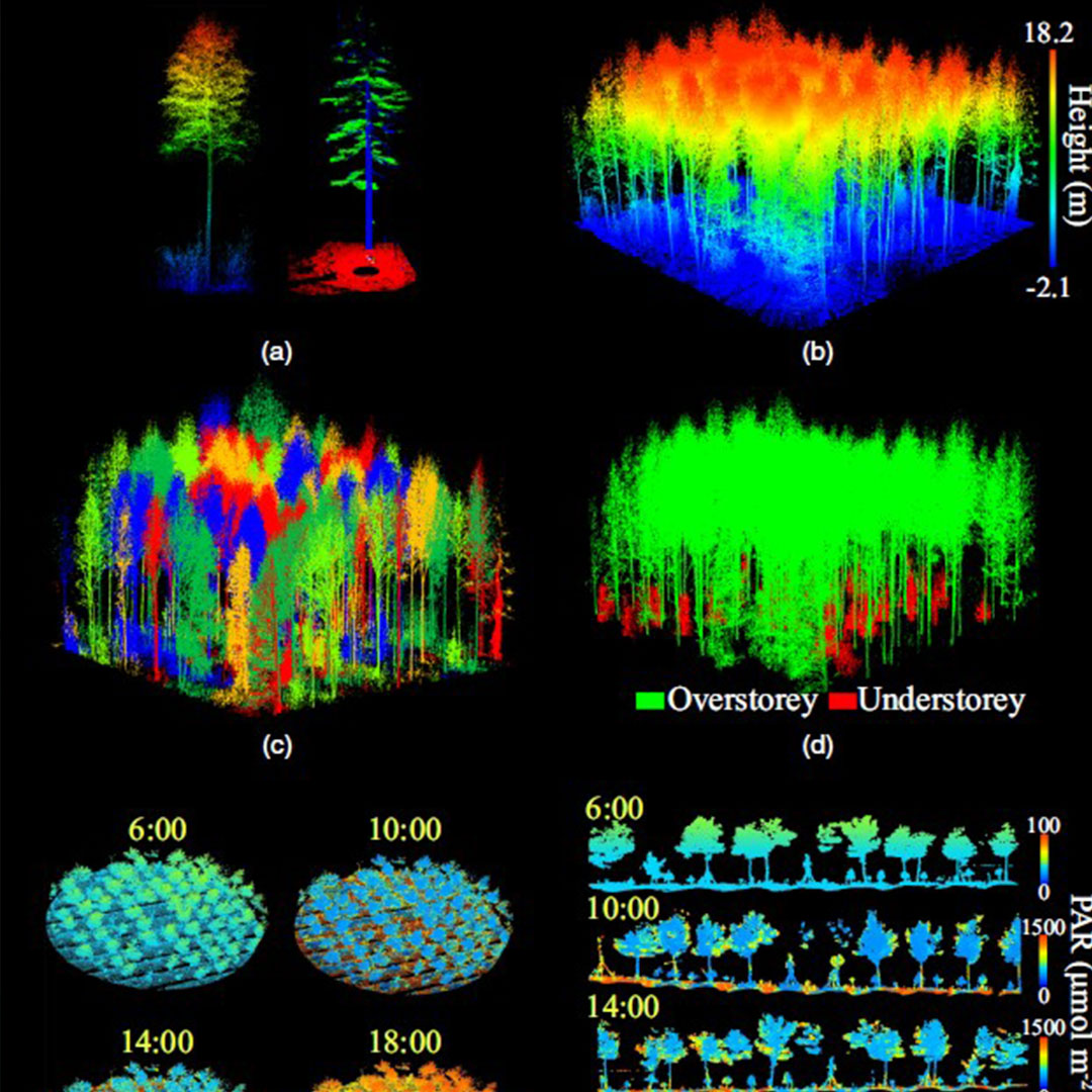 Fluorescent colored lidar images of trees and forests on a black background