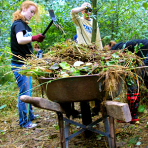 Two female WWU students hard at work loading weeds into a wheelbarrow.