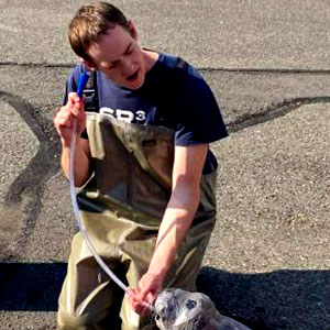 Patrick Hutchins is a white male with short brown hair. He wears a T-shirt and rubber overalls as he crouches down to care for an injured seal.