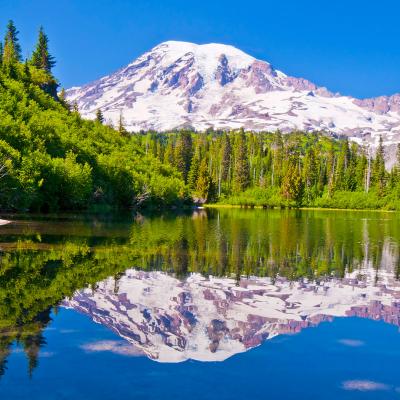 Mt. Rainier and trees reflected in a lake