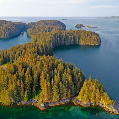 Aerial view of wooded islands in the Salish Sea