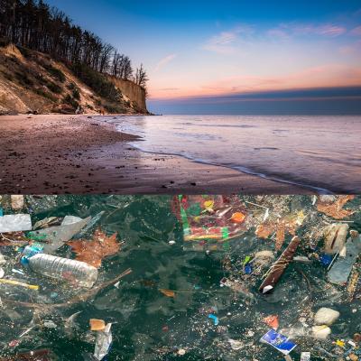 Top: Salish sea coastline. Bottom: floating garbage.