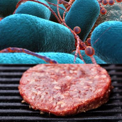 Top: close up of bacteria. Bottom: raw beef patty on grill