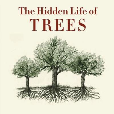 Book Cover of the Hidden Life of Trees