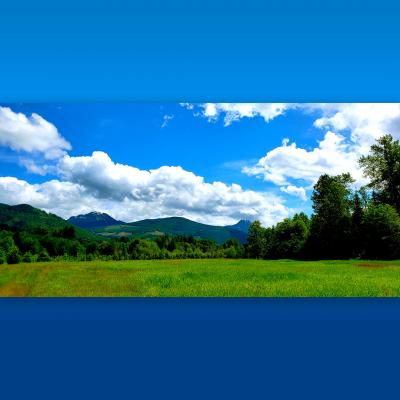Pastoral view of green field with forest, hills, and blue sky with fluffy white clouds