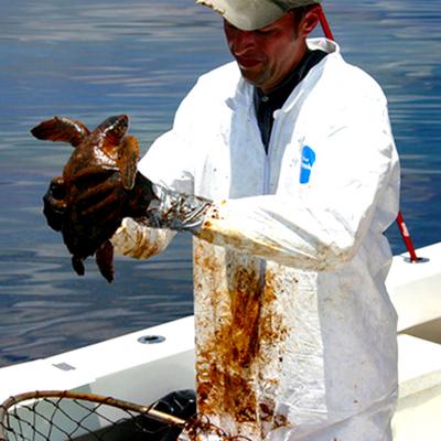 Veterinarian in oil-stained lab coat standing on a boat and holding an oil-coated turtle
