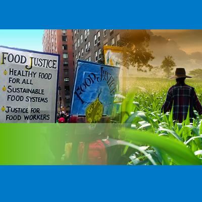 Montage of Food Justice placards and a farmer standing in a field of corn