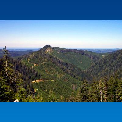 Sweeping view of forested mountains with blue sky