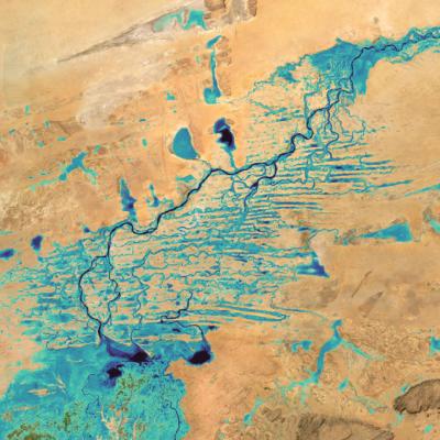 Colorful aerial scan of inland wetland area