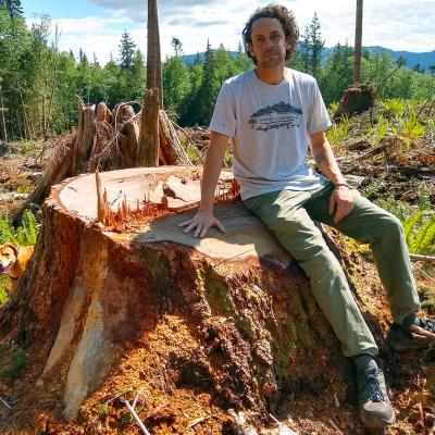 Adult male in jeans and T-shirt sits atop the huge stump of a cut-down old growth tree.