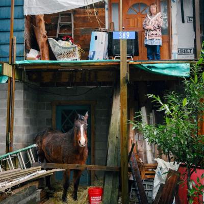 A woman stands on upper level of flood-damaged home and a horse stands below her on lower level