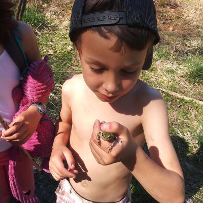 A young boy gently holds a green frog in his hand. The boy has white skin, no shirt, and wears a black baseball cap and shorts.