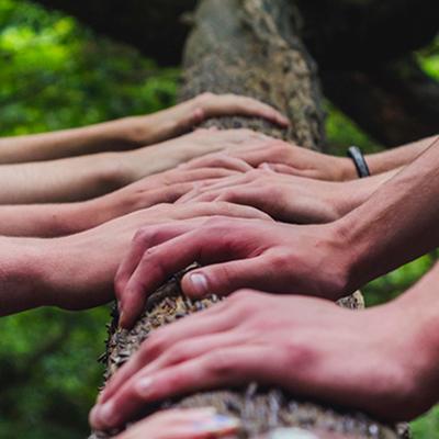 Close-up of human hands resting on a thick tree branch.