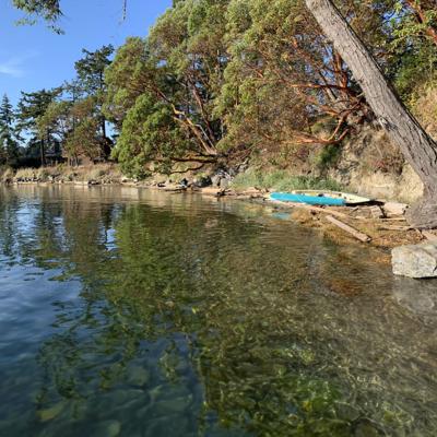 A shoreline cove in the San Juan Islands with madrones and pines and a kayak on the beach.