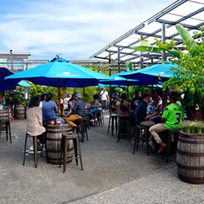 Outside patio at Fremont Brewing in Seattle with flowering plants in barrels and people seated under blue umbrellas.