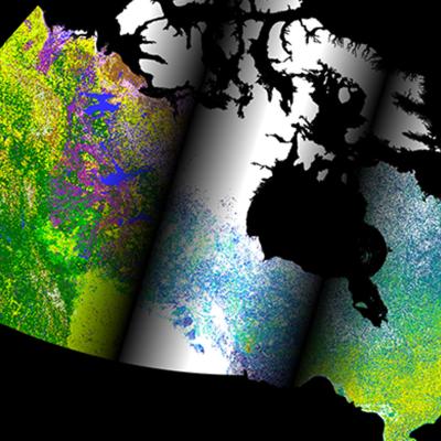 Satellite-derived data set of Canada's forest lands, with dots of bright green, blue, and purple against a black background.