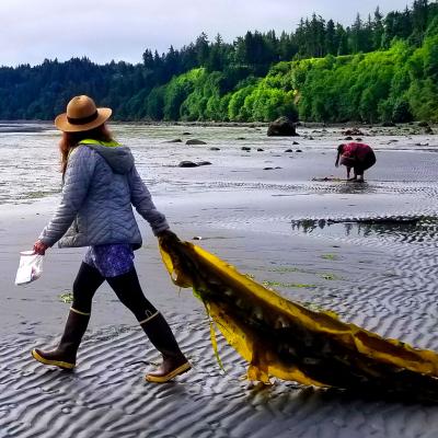 A woman wearing rubber boots drags an over-sized piece of seaweed along a sandy shoreline with a forest in the background.