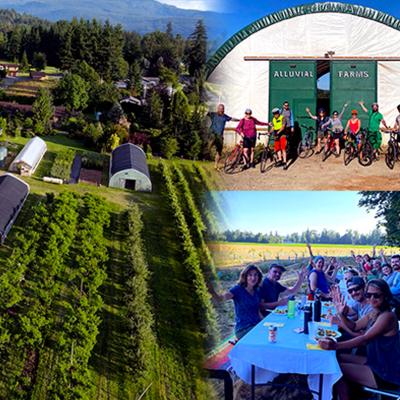 Montage: aerial view of verdant farmland, group of bicyclists, and group enjoying dinner.